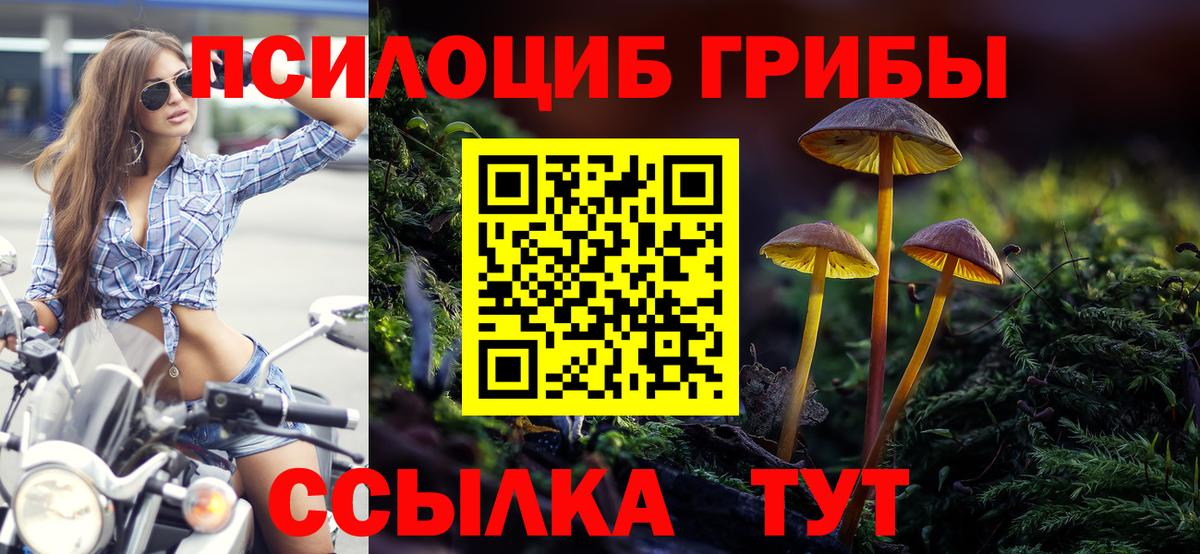 Псилоцибиновые грибы MAGIC MUSHROOMS  Вход с VPN  Кувандык 